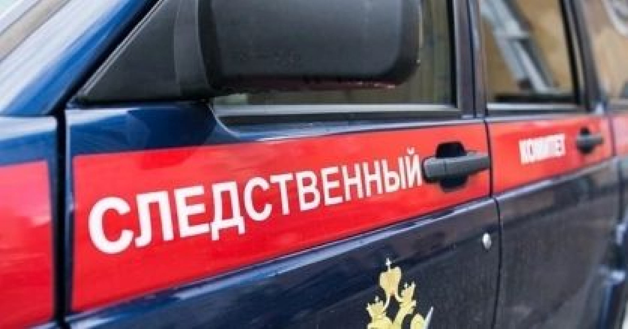 В Петербурге 18-летнюю девушку увезли неизвестные в сторону Москвы | The  Russian News